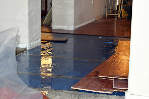 Professional Crawl Space Water Removal technician working in Fowler, MI